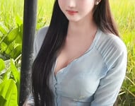 Soi 279