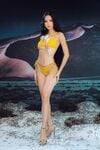 Cho ý kiến nào sexx
