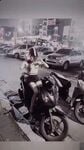 Bống Nhạt Nhoà Cực Xinh Gái