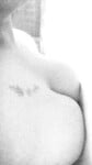 Hoàng Mi 2008