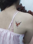 Mb ngoại tình