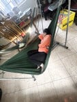 Bà cô đang ngủ quá múp