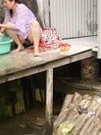 Loạn luân