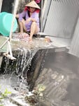 Loạn luân