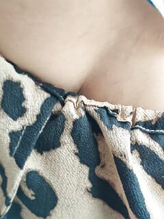 Cây nhà lá vườn,siêu múp
